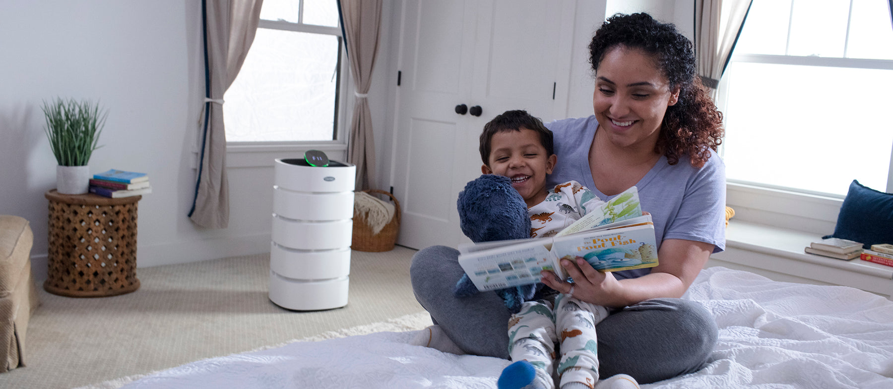 refresh your indoor air