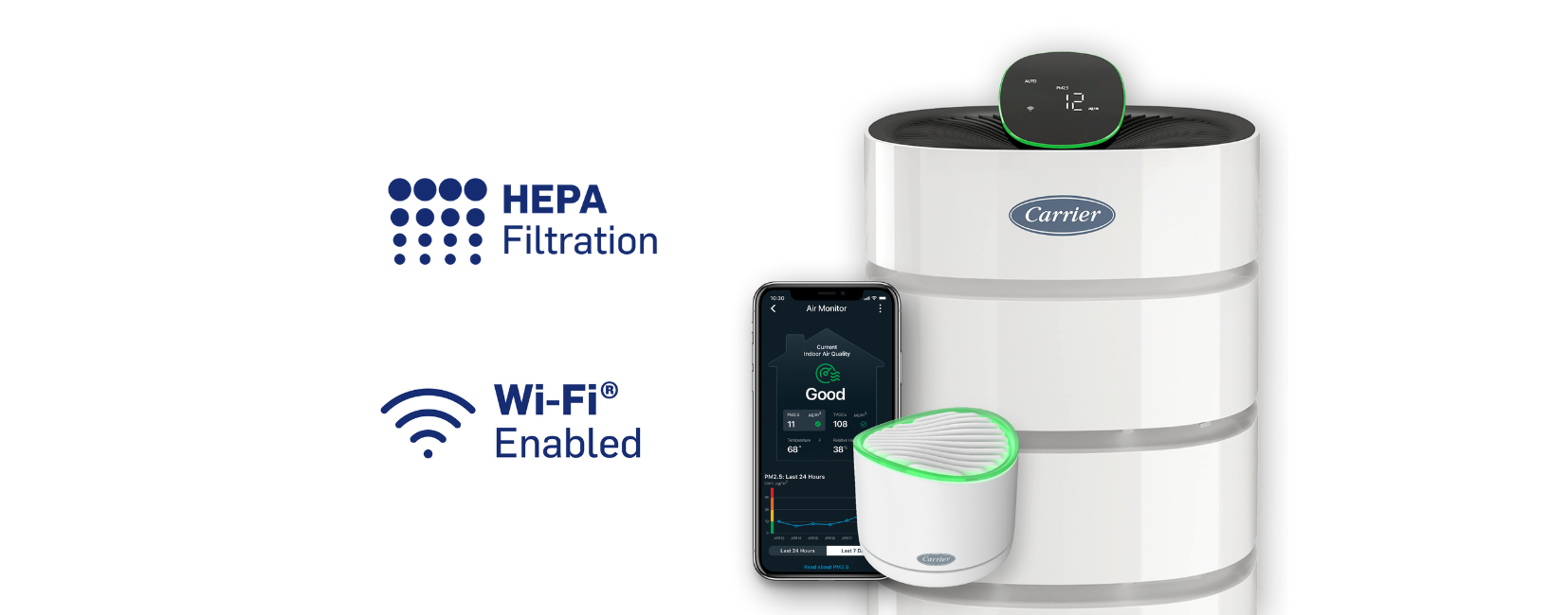 What does an air purifier do