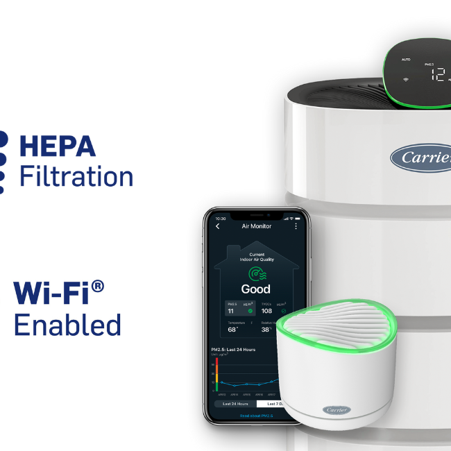 What does an air purifier do