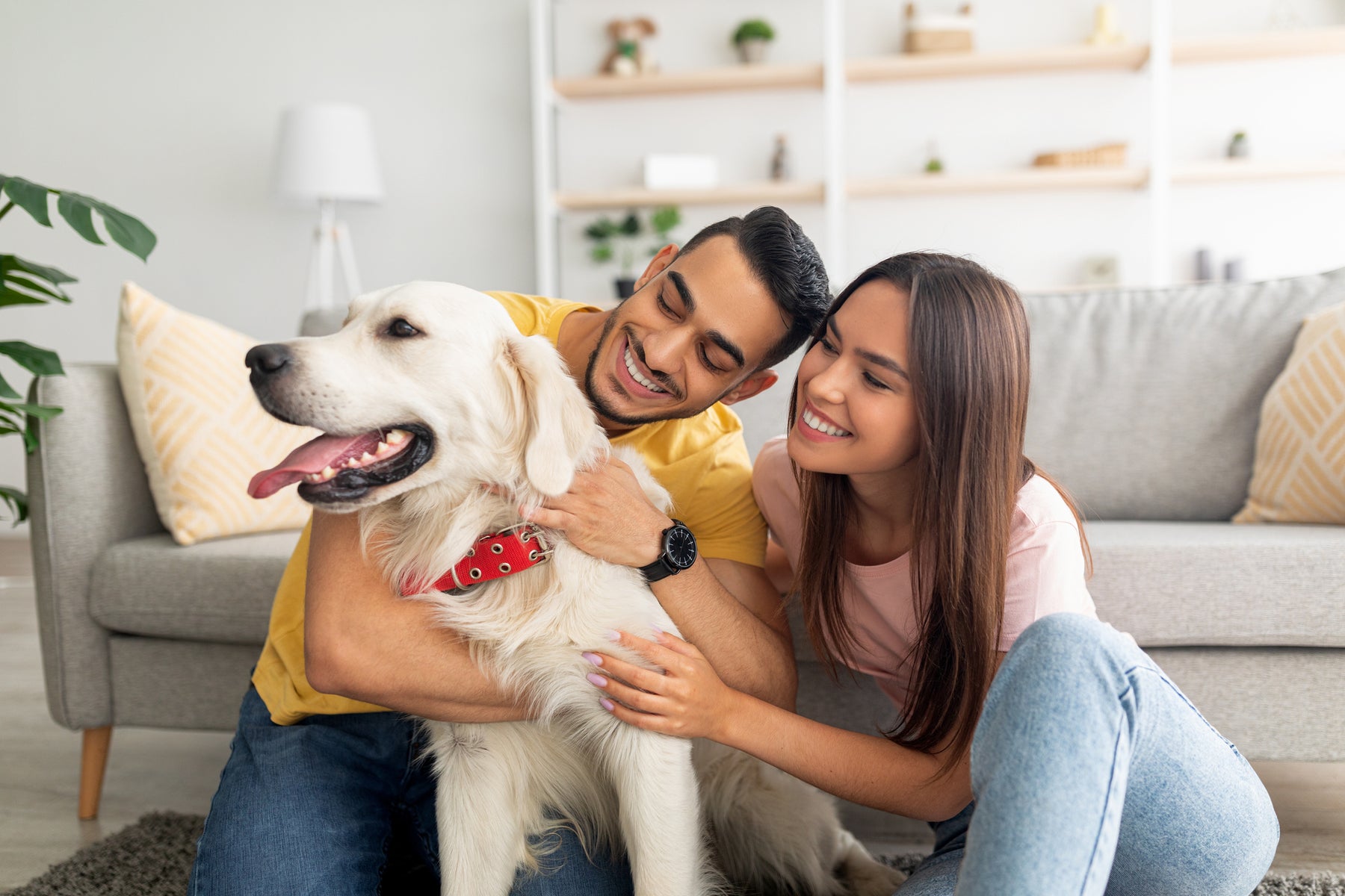 Air purifier for pet dander