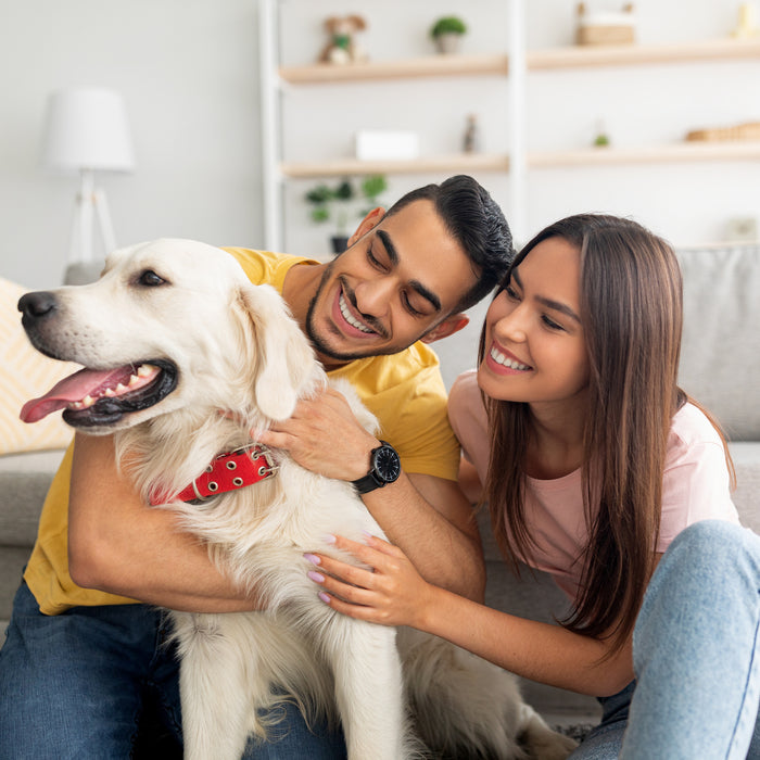 Air purifier for pet dander