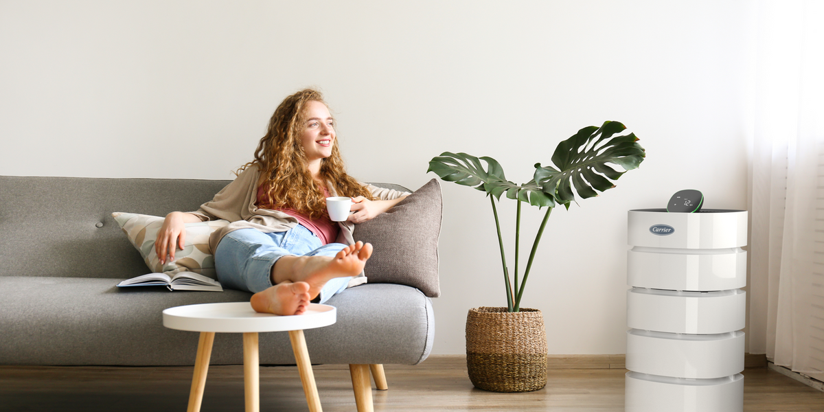 How Do Air Purifiers Work? How To Purify the Air in Your Home