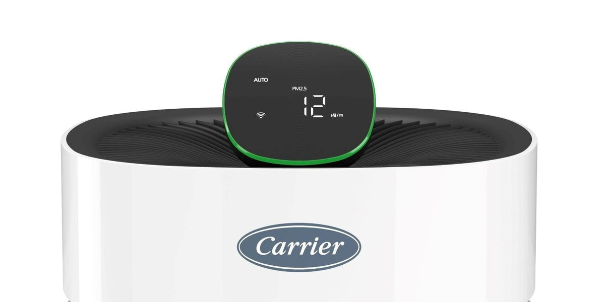 How To Use an Air Purifier What Are Air Purifiers Good For? — Carrier