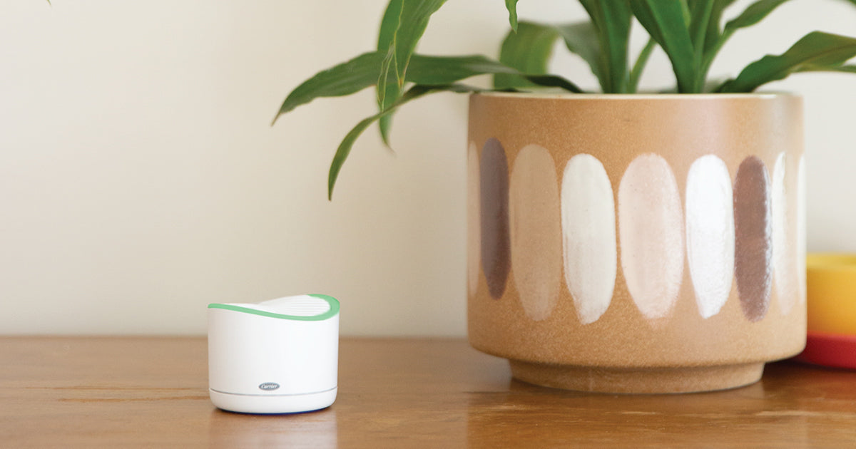 Smart Air Quality Monitor – Know your air, Works with Alexa